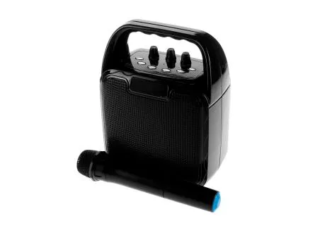Аудиосистема для вечеринки Atom KS-1100 Чёрный