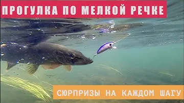 Прогулка по ОЧЕНЬ мелкой речке. Сюрпризы на каждом шагу